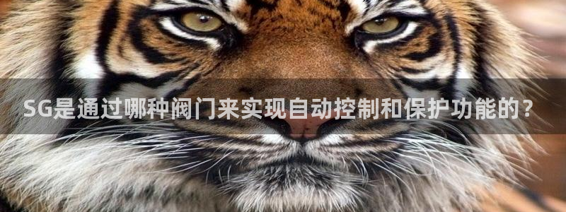新宝gg登录平台