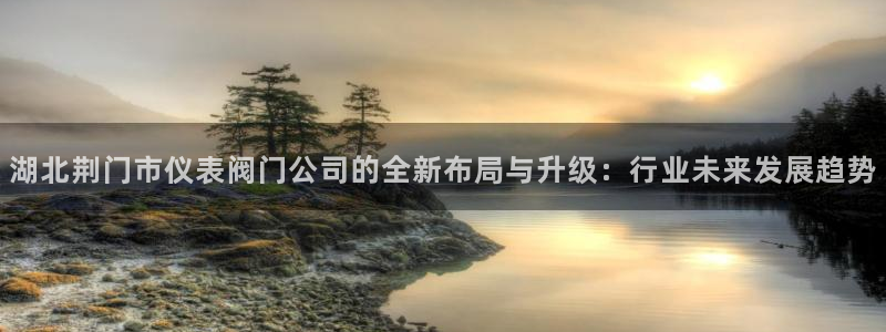 新宝gg如何注册登录