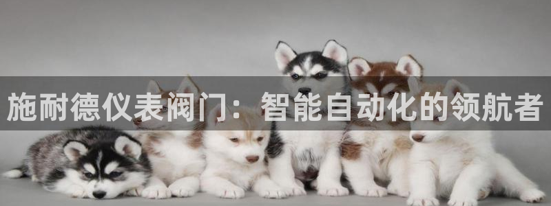 新宝gg老板