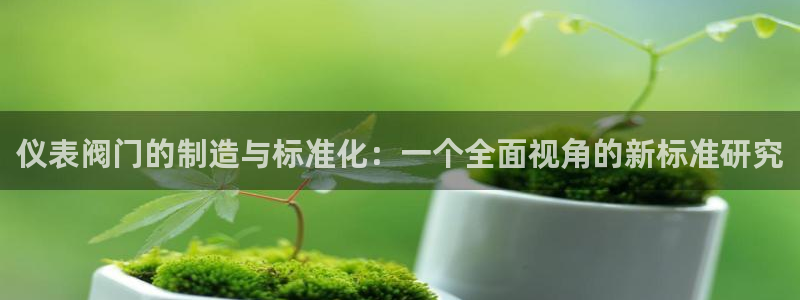 分分新宝gg