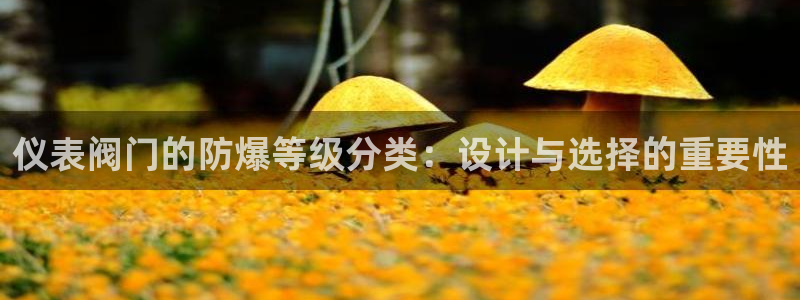 怎么代理新宝gg