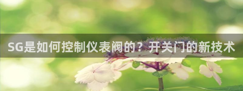 新宝gg 创造奇迹