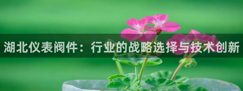 新宝gg平台开发