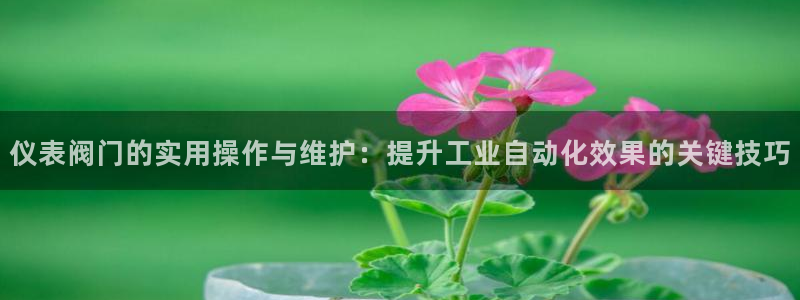 新宝gg招商