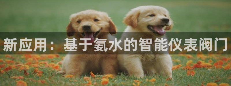 新宝gg开户