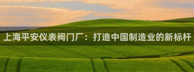 新宝GG股东