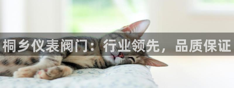 新宝gg 主管