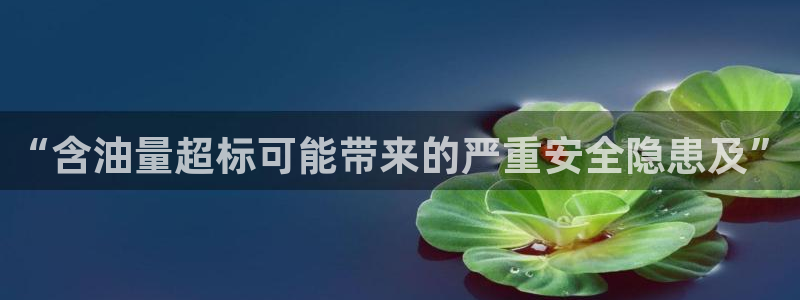 新宝gg手机app