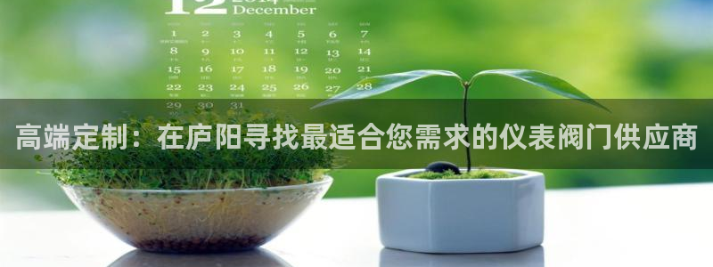 新宝gg平台首页