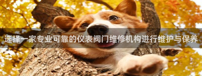 新宝gg主管