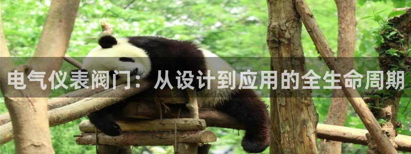 新宝gg娱乐注册