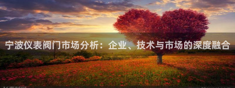 新宝太阳gg