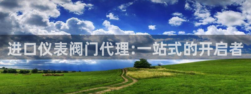 新宝gg游戏