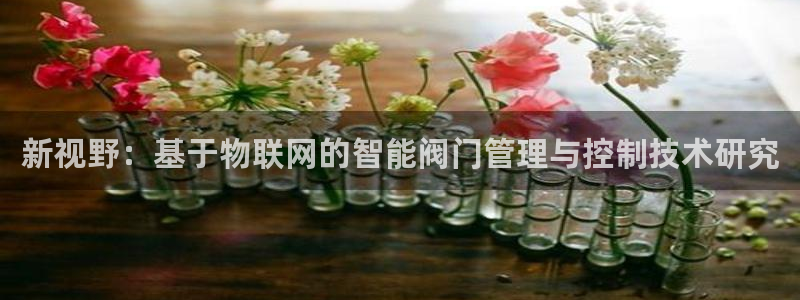 新宝gg娱乐上皇巢网