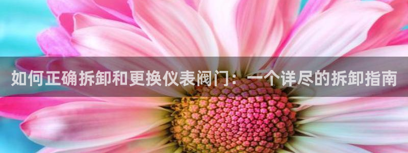 新宝gg直属上级