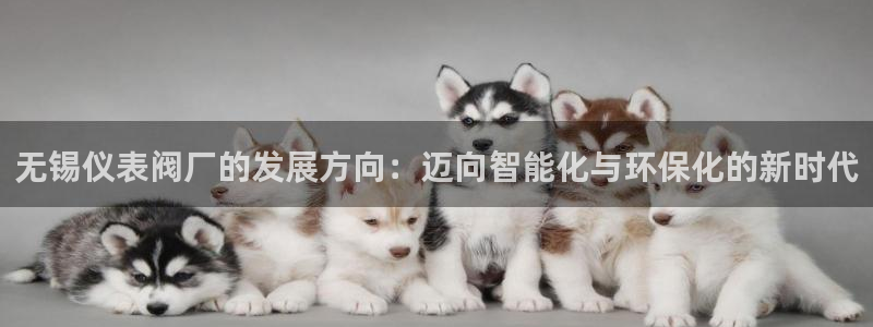 新宝gg创造奇迹下载