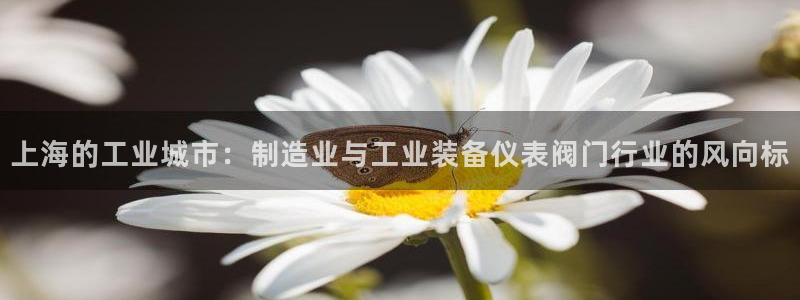 新宝GG最高返点多少