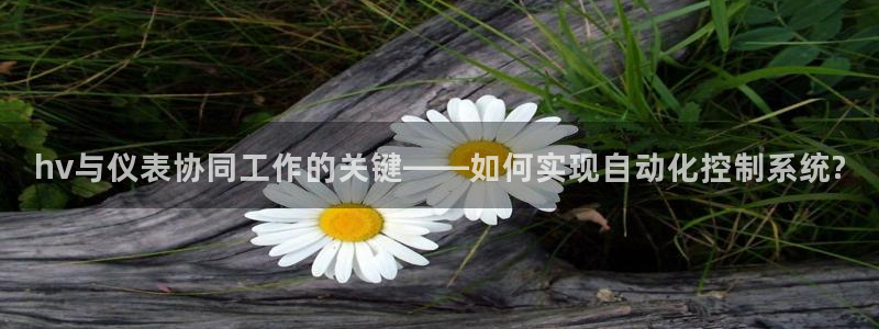 新宝gg是什么