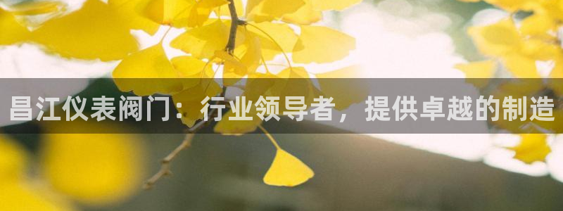 新宝gg分红