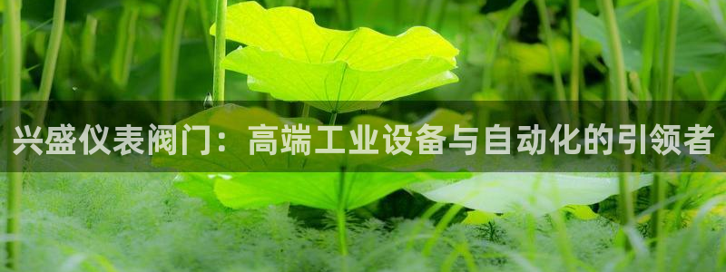 新宝GG创造奇