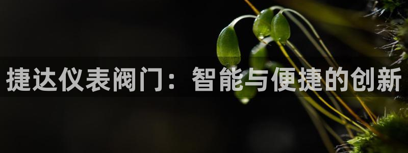 新宝GG速度