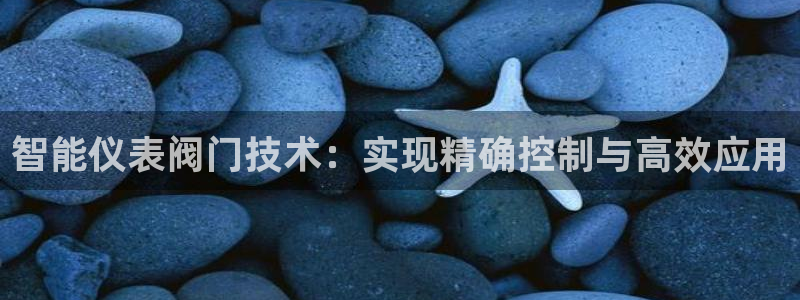 新宝给gg