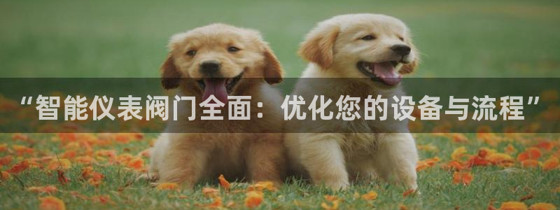 分分新宝gg