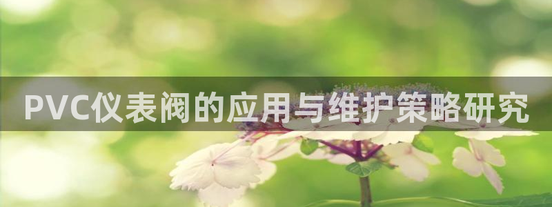 新宝GG冰冰