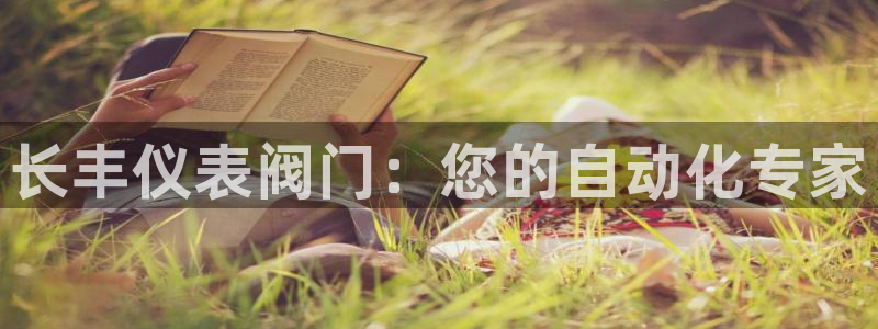 新宝创造Gg
