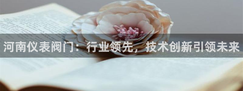 新宝gg   创造