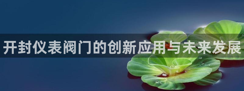 新宝GG挂机