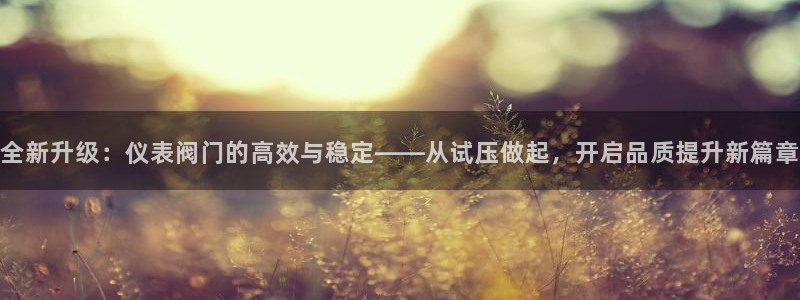 新宝gg登录网址