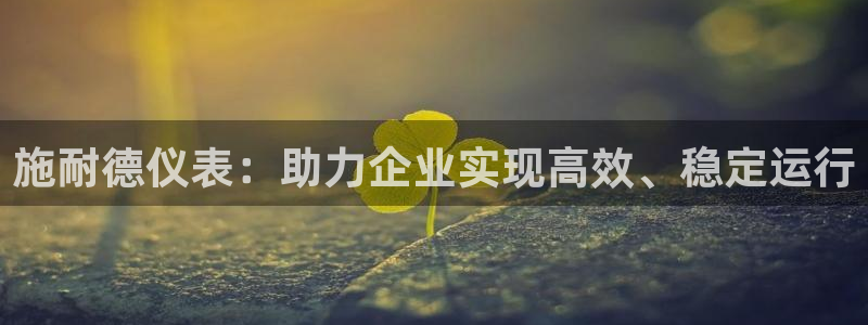新宝gg 主管