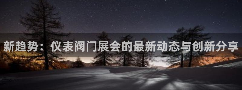 旧版新宝GG