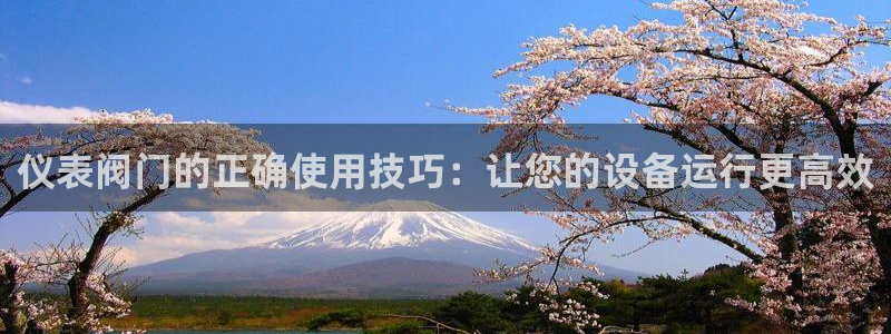 新宝gg平台q891465