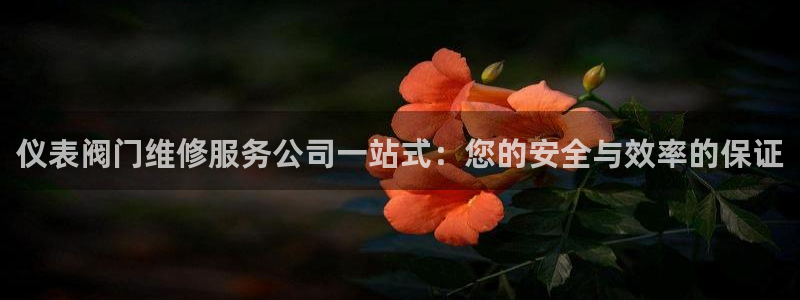 创造奇迹新宝gg