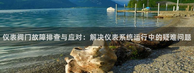 新宝gg挂机软件下载