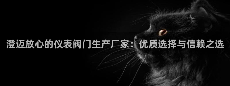 新宝GG正规78778