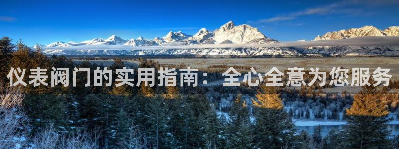 新宝gg主管都是谁