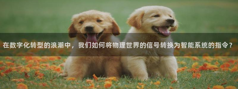 新宝gg平台注册