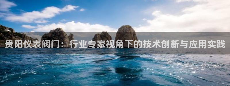 广东新宝电器gg