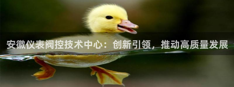 新宝gg网投