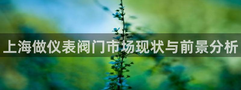 新宝gg套利