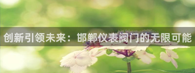 新宝gg娱乐官网