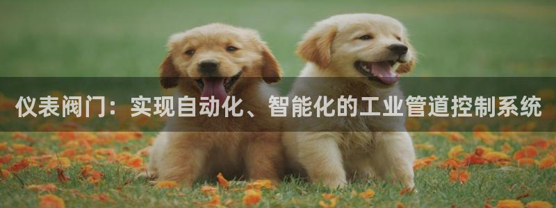新宝gg网
