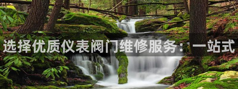 新宝GG娱乐下载