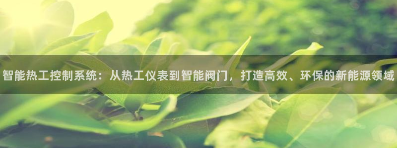 新宝gg网娱乐