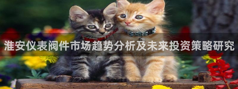 新宝gg主管baidu