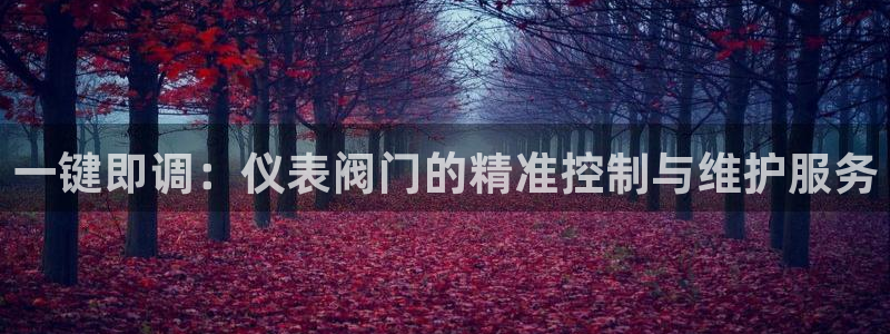 新宝gg网投