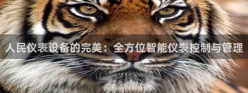 认准新宝gg
